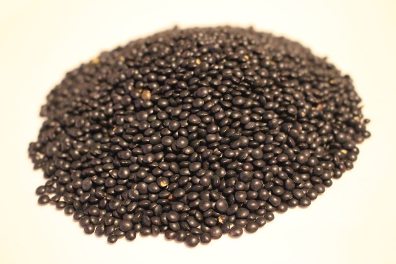 Black-Beluga lentils