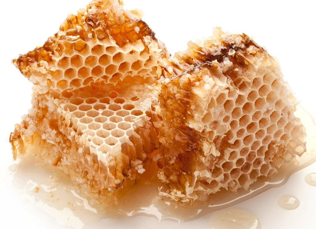 honeycomb - bee buzz